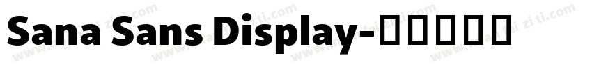 Sana Sans Display字体转换